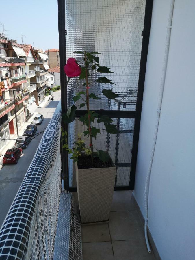 Alexandros Apartment Aridaía Exterior foto